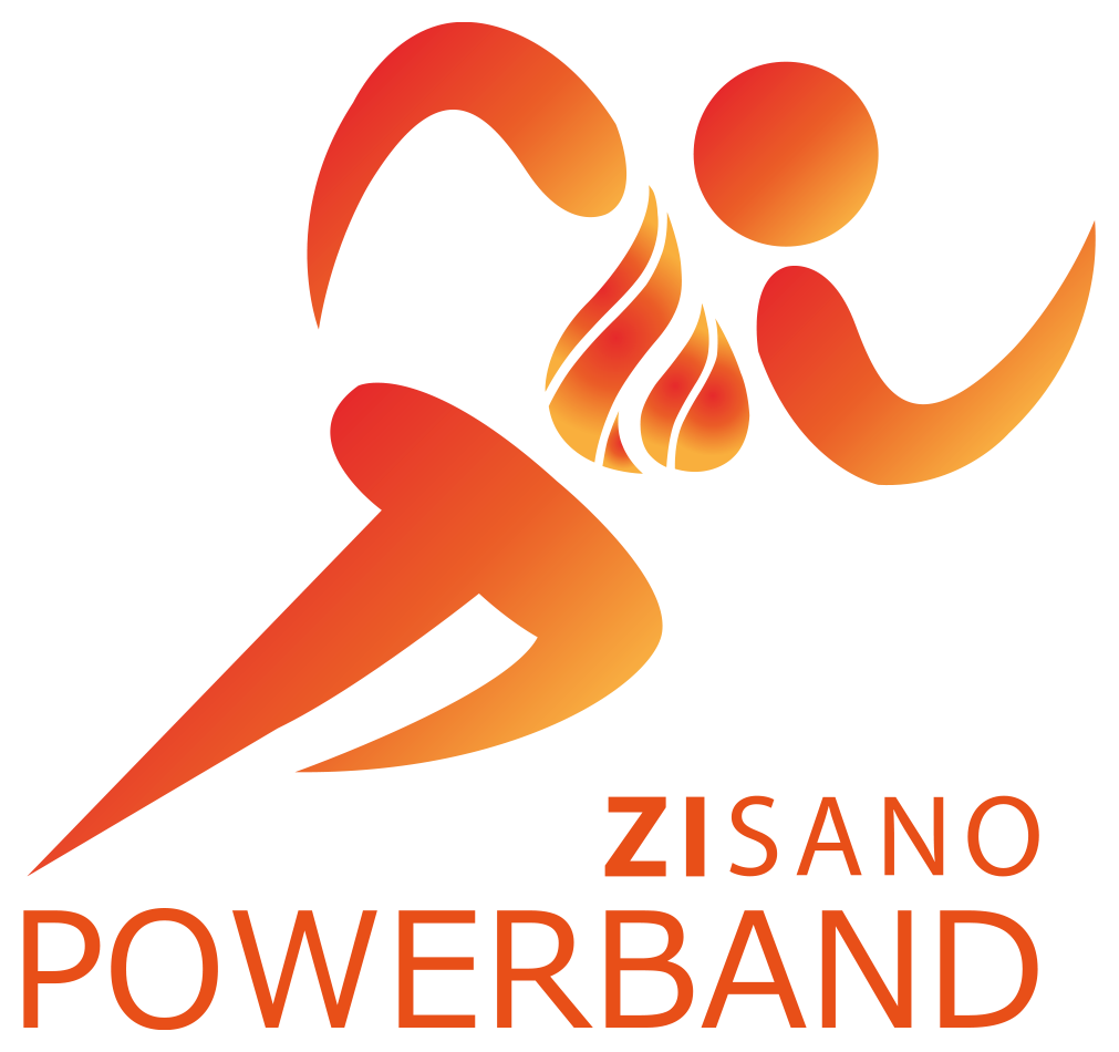 ZISANO Power
